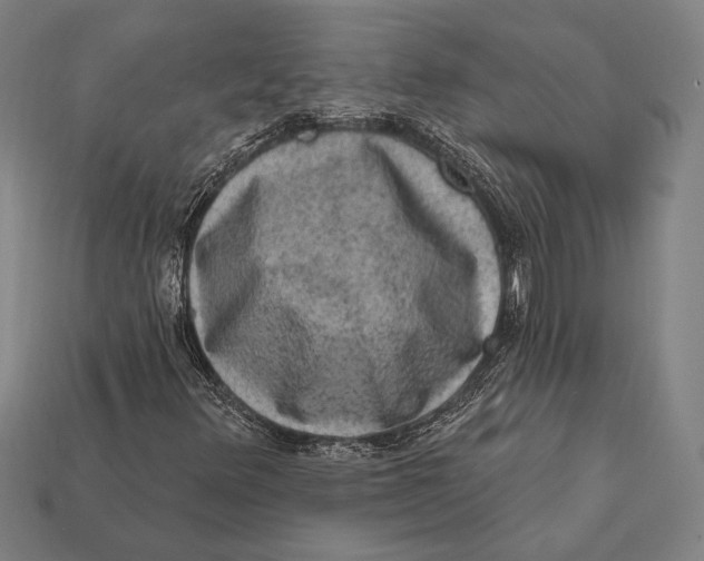 X0000112421348200909111002