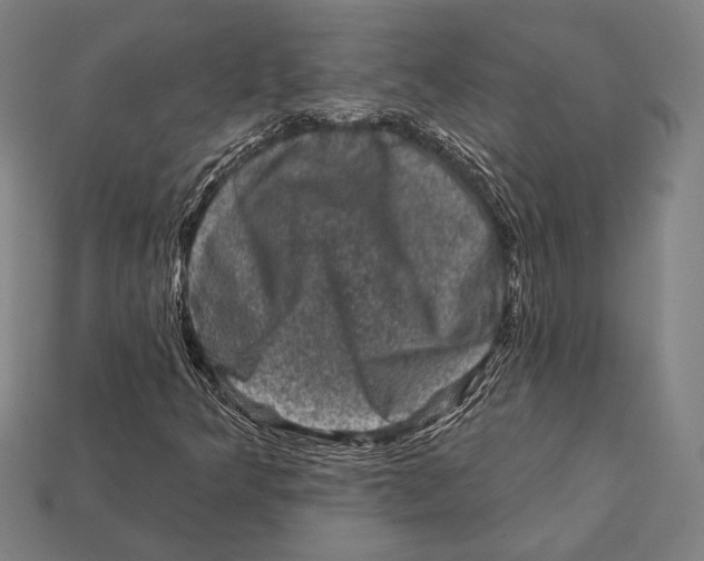 X0000112421349200909111002