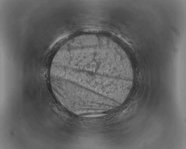 X0000112421351200909111002