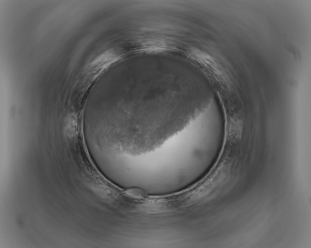 X0000112421353200909111002