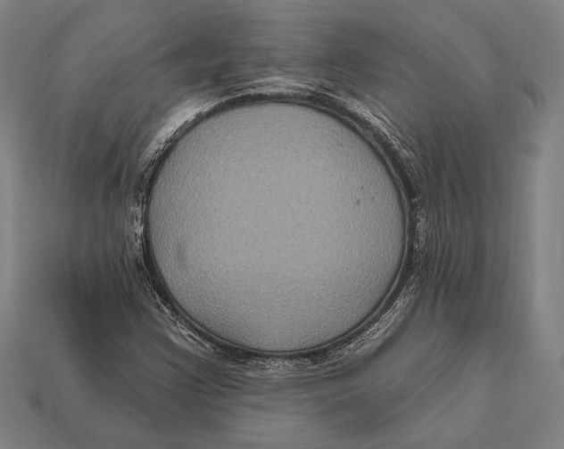 X0000112421355200909111002