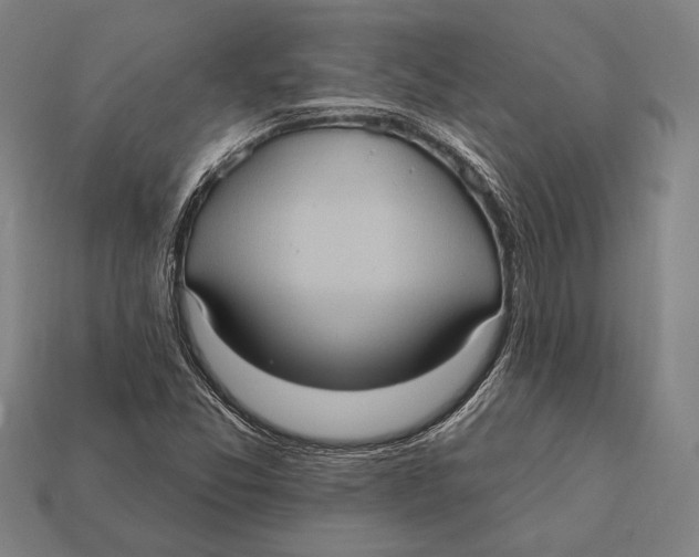 X0000112421357200909111002