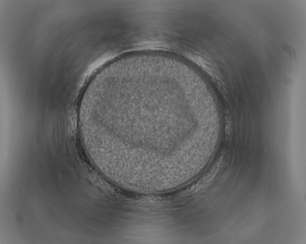 X0000112421358200909111002