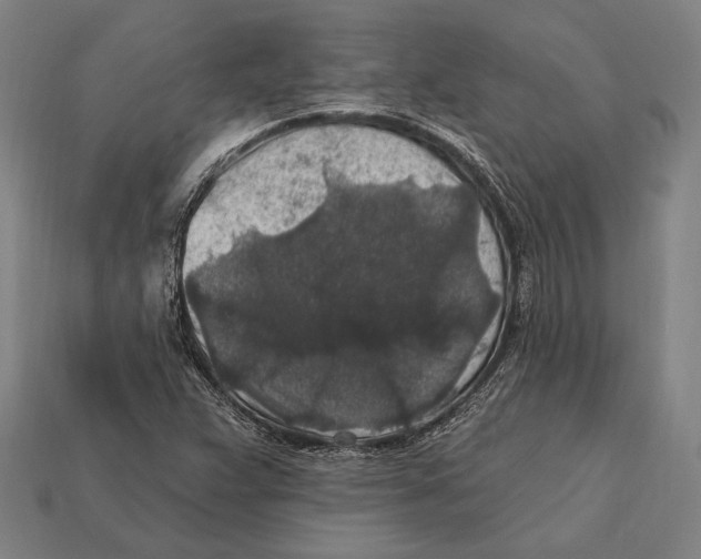 X0000112421359200909111002