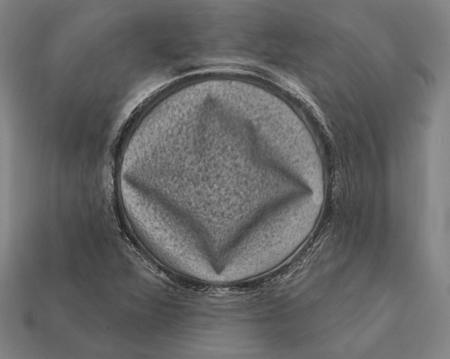 X0000112421360200909111002