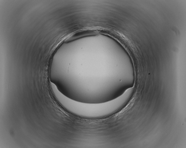 X0000112421361200909111002