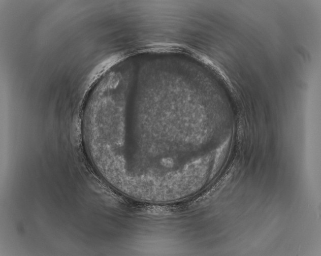 X0000112421362200909111002