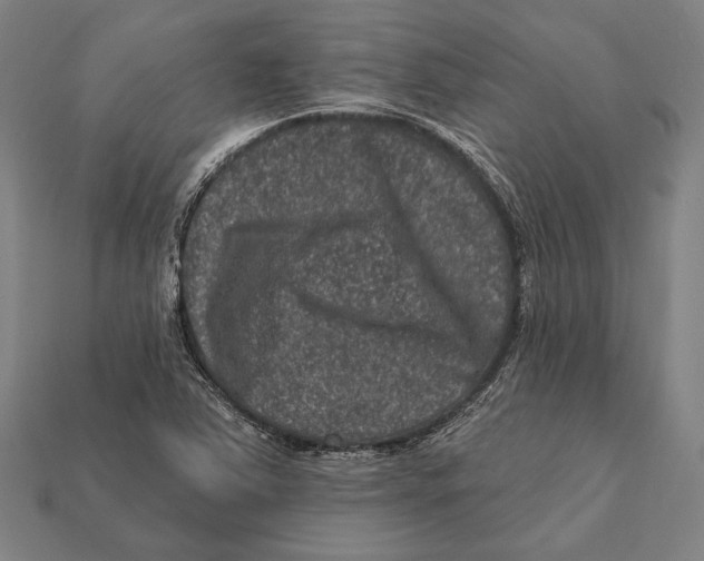 X0000112421363200909111002