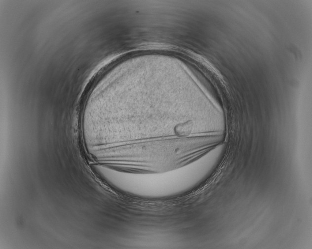 X0000112421364200909111002