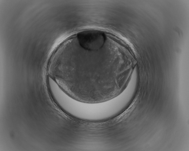 X0000112421365200909111002