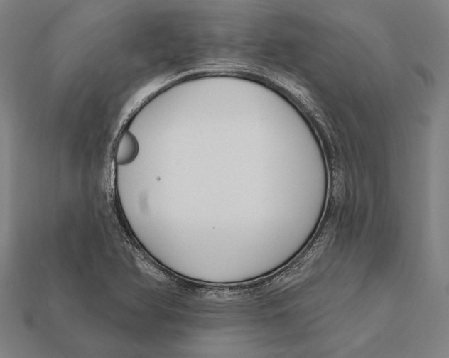 X0000112421366200909111002