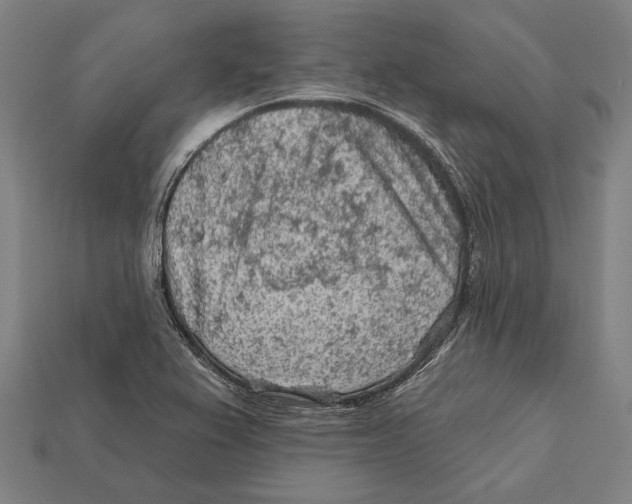 X0000112421367200909111002