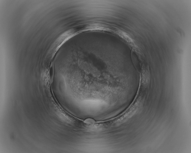 X0000112421369200909111002