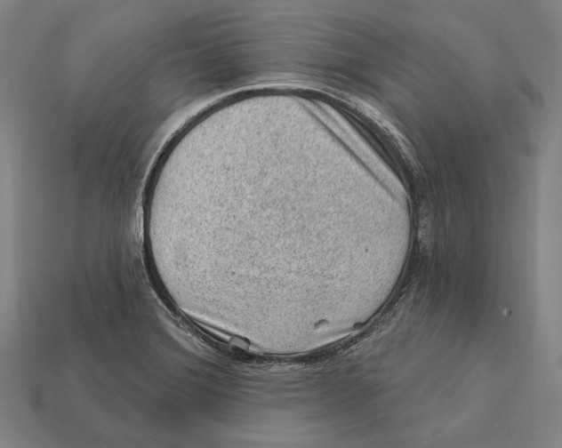 X0000112421372200909111001