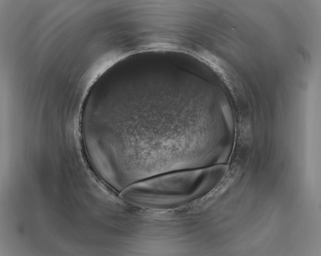 X0000112421373200909111001