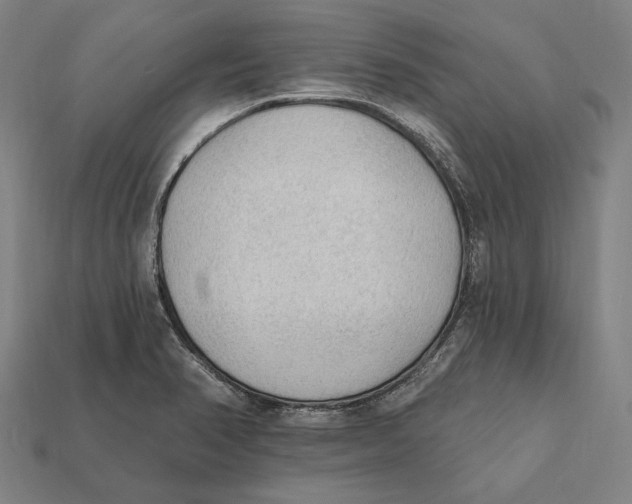 X0000112421374200909111001