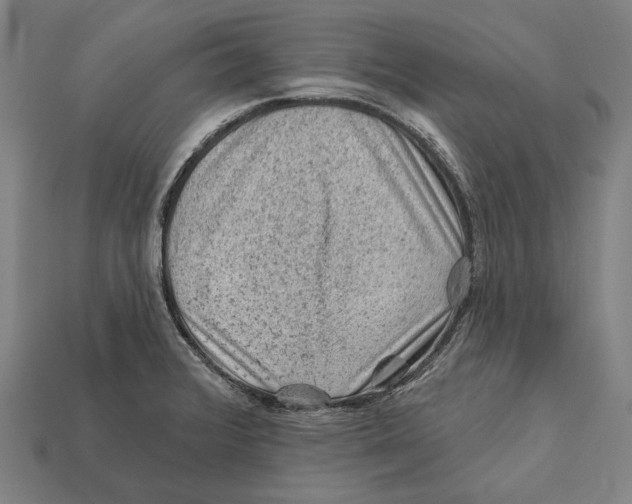 X0000112421376200909111001