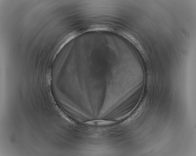 X0000112421377200909111001