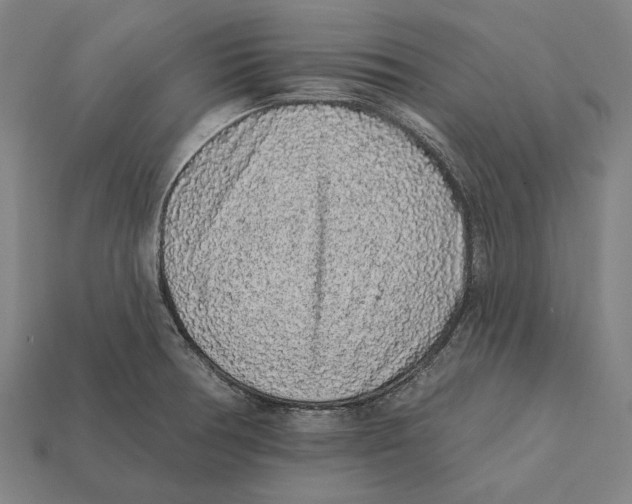 X0000112421378200909111001