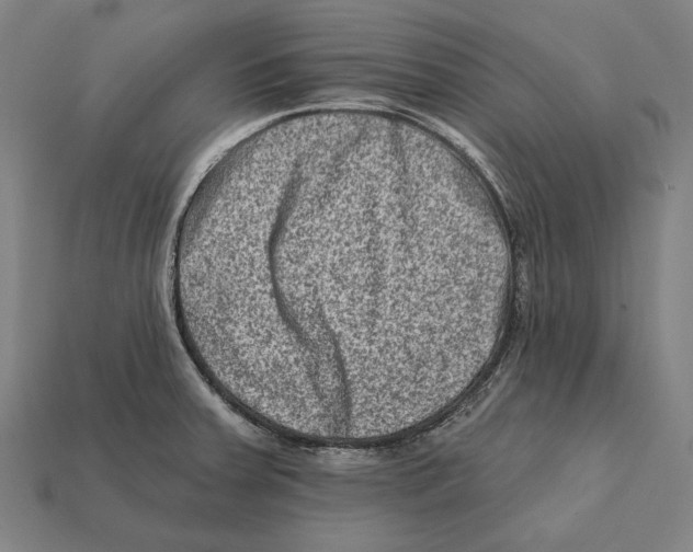 X0000112421379200909111001