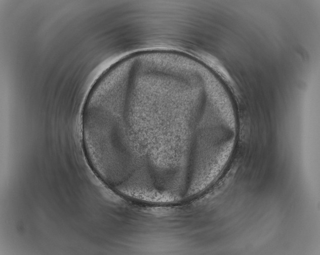 X0000112421380200909111001