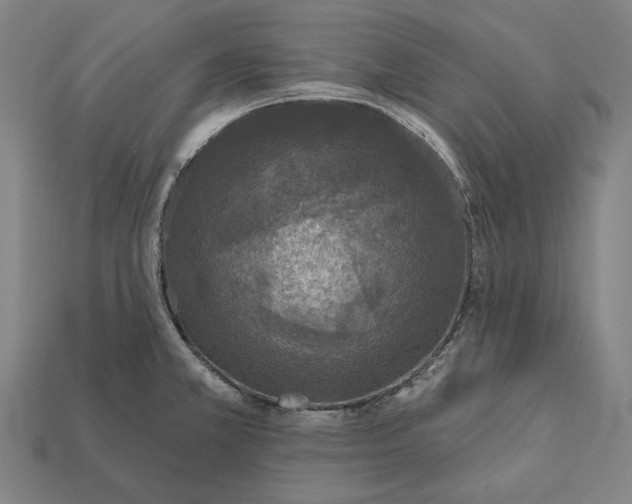 X0000112421381200909111001