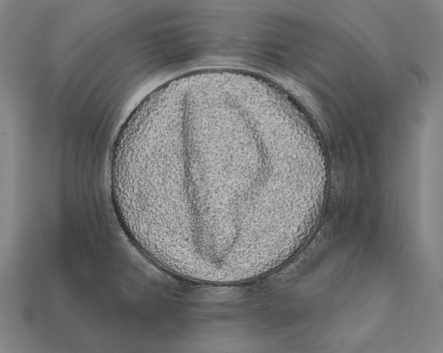 X0000112421382200909111001