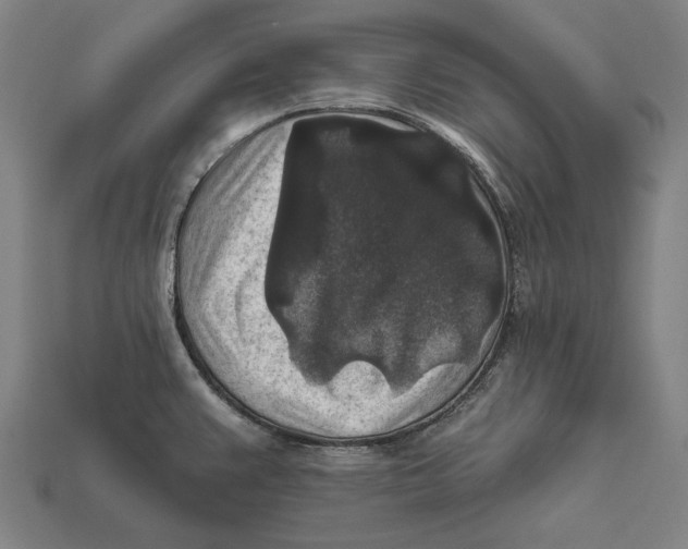 X0000112421383200909111001