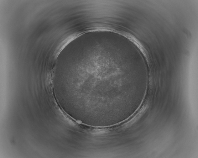 X0000112421385200909111001