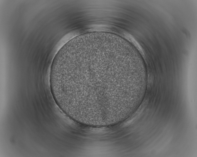 X0000112421386200909111001