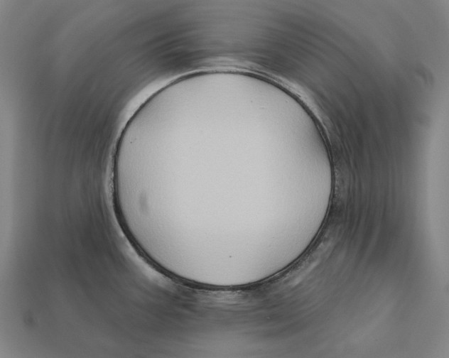 X0000112421387200909111001