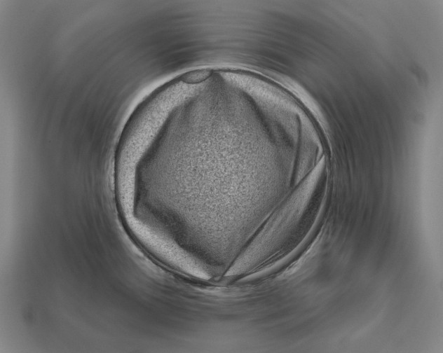 X0000112421388200909111001