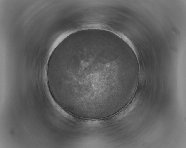 X0000112421389200909111001