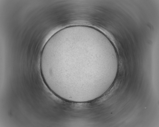 X0000112421390200909111001