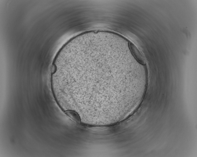 X0000112421392200909111001