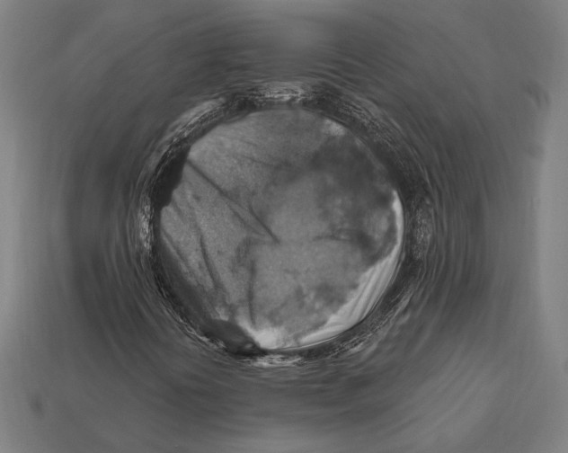 X0000112421394200909111001