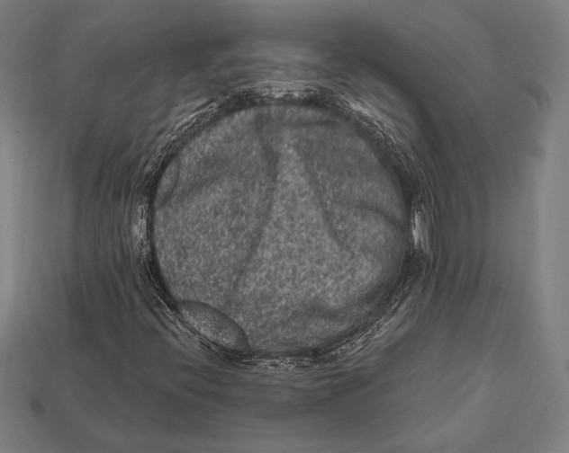 X0000112421396200909111001