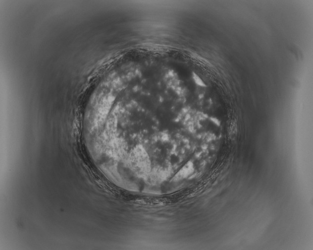 X0000112421397200909111001