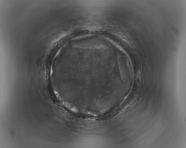 X0000112421398200909111001