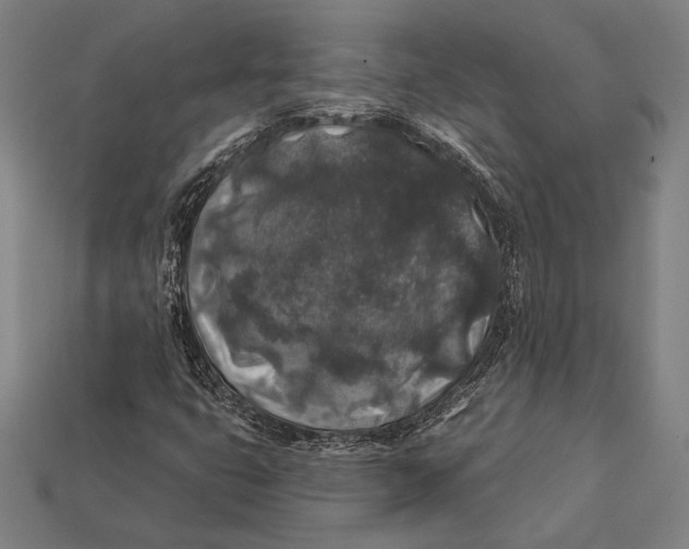 X0000112421399200909111001