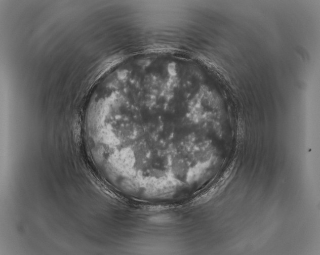 X0000112421401200909111001