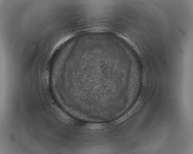 X0000112421402200909111001