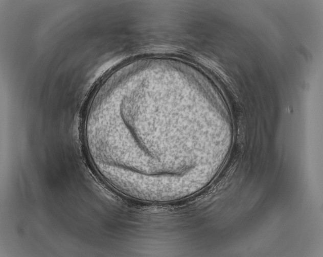 X0000112421404200909111001