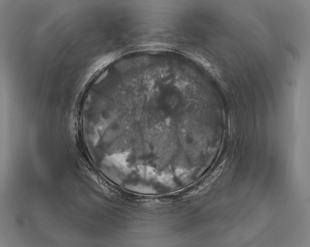 X0000112421405200909111001