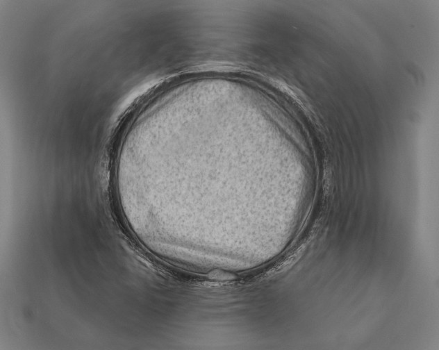 X0000112421406200909111001