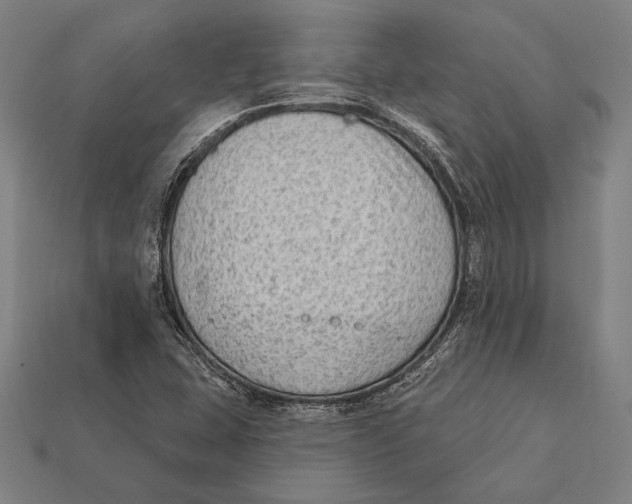 X0000112421407200909111001