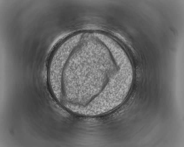 X0000112421408200909111001