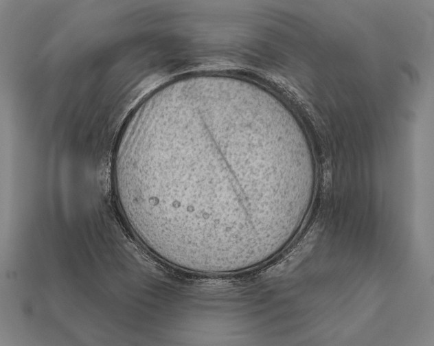 X0000112421409200909111001