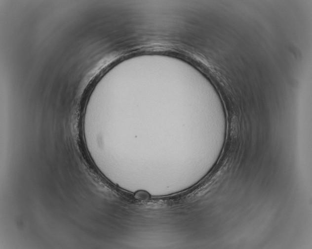 X0000112421410200909111001