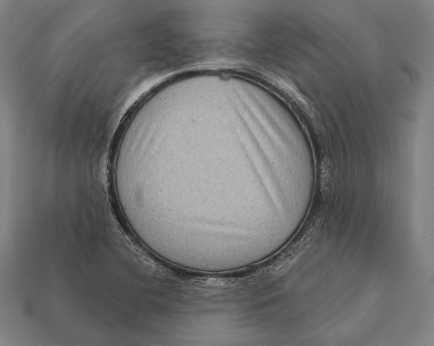 X0000112421412200909111001